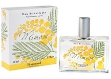Fragonard Mimosa
