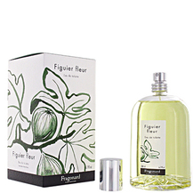 Fragonard Figuier Fleur